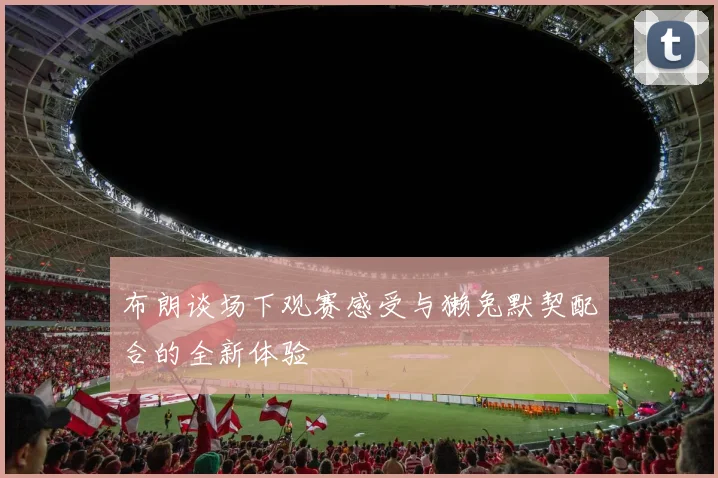 布朗谈场下观赛感受与獭兔默契配合的全新体验